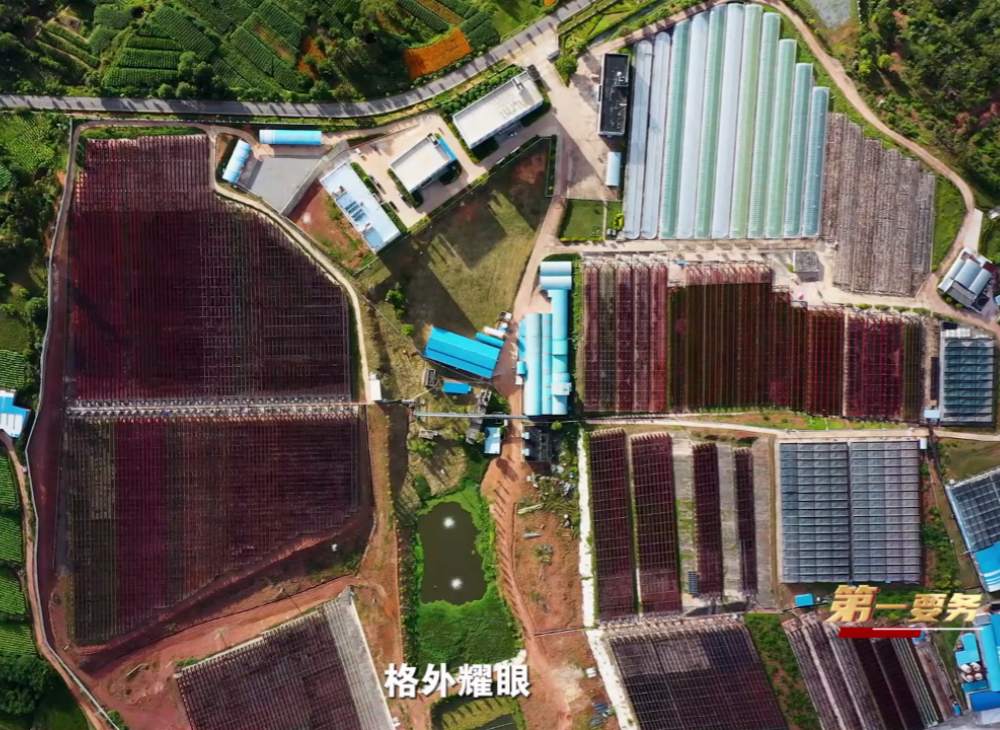 �۠��l��Դ�r���ص������ĸ�����